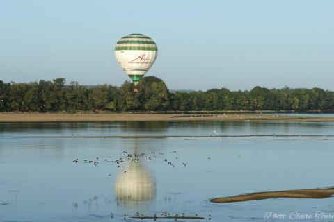 Montgolfiade 2019 Brissac, Lundi matin c  (248)