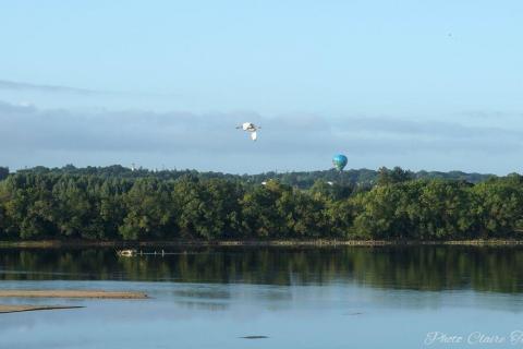Montgolfiade 2019 Brissac, Lundi matin c  (271)