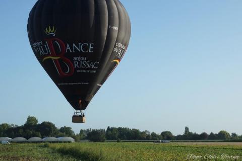 Montgolfiade 2019 Brissac, Lundi matin c  (302)