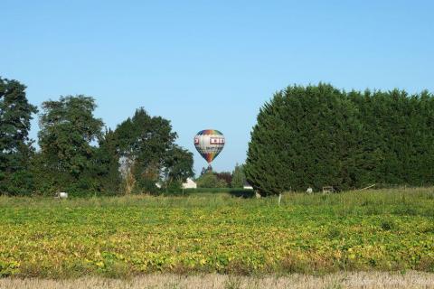 Montgolfiade 2019 Brissac, Lundi matin c  (345)