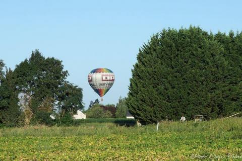 Montgolfiade 2019 Brissac, Lundi matin c  (346)