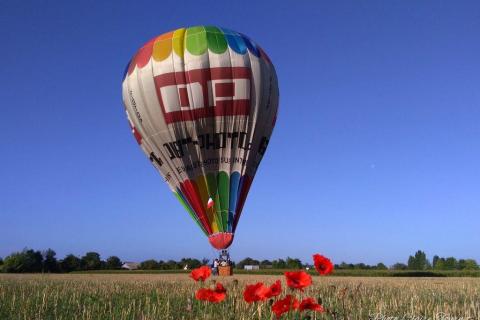 Montgolfiade 2019 Brissac, Lundi matin c  (349)