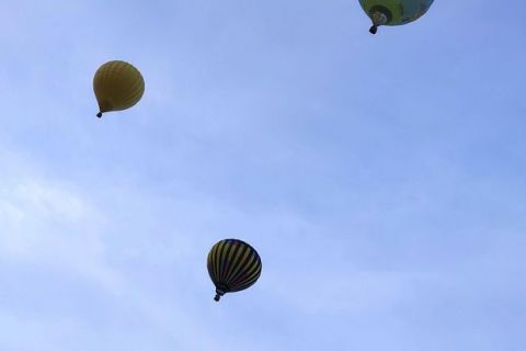 MT26-Sm-38