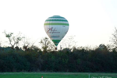 MT26-mix-S-s-113