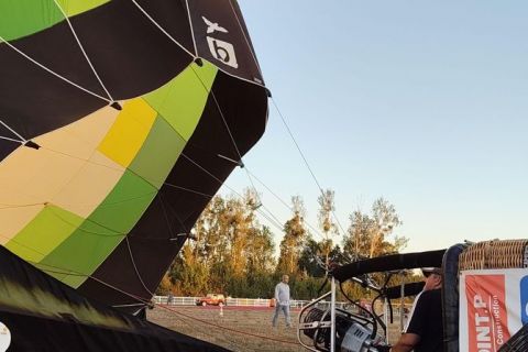 MT26-Vs-g-50