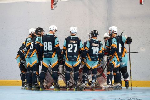 N2-Haw-Duck-m-4
