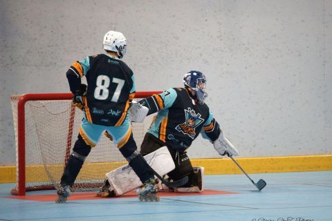 N2-Haw-Duck-w-32