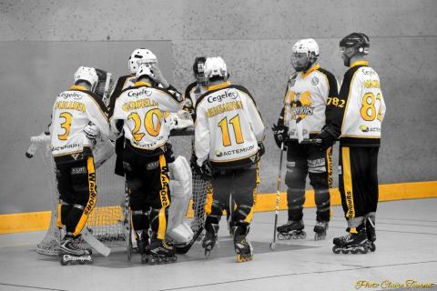 N3 Match 2 Camon vs Petit Quevilly c (16)