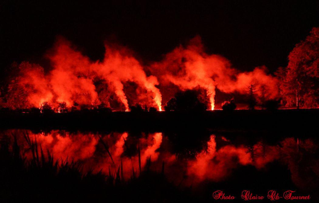Night glow et feu d'artifice c (47)
