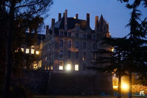 Night glow et feu d'artifice c (37)