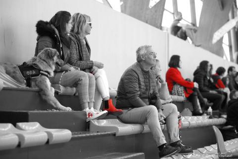 M9 Angers 2 vs Olonne (77)