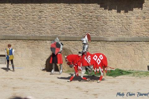 Puy du Fou c (428)