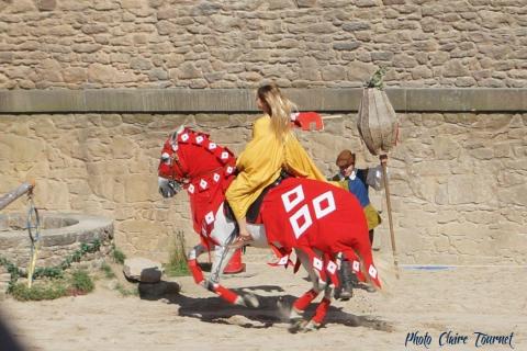 Puy du Fou c (430)