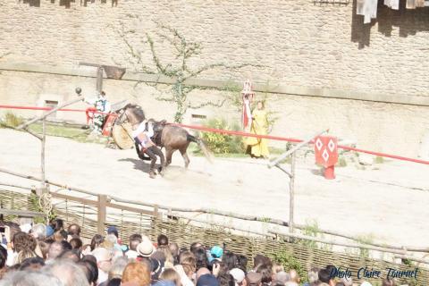 Puy du Fou c (445)