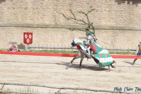 Puy du Fou c (484)