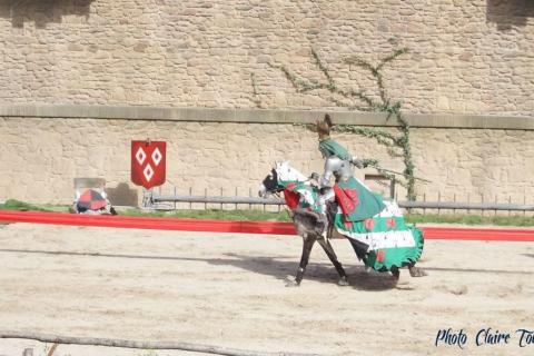 Puy du Fou c (485)