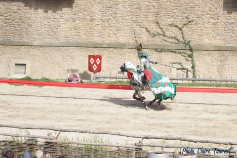 Puy du Fou c (486)