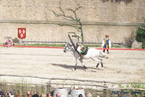 Puy du Fou c (500)