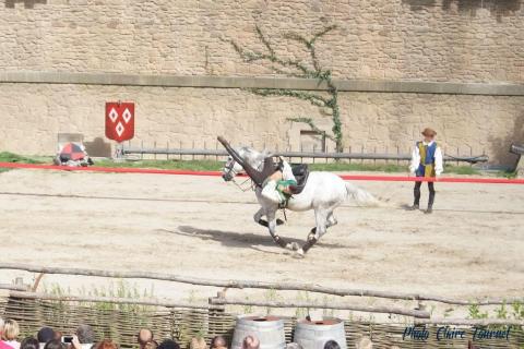 Puy du Fou c (501)