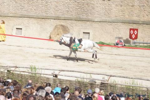 Puy du Fou c (508)