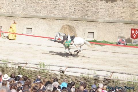 Puy du Fou c (509)