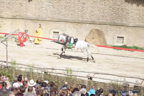 Puy du Fou c (511)