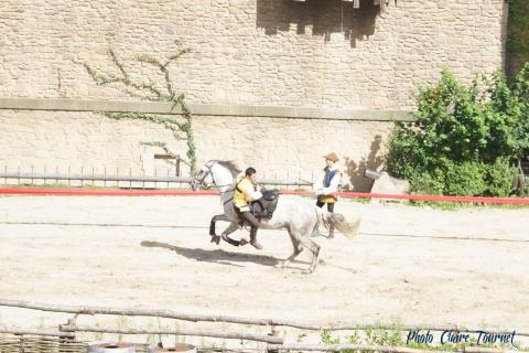 Puy du Fou c (522)