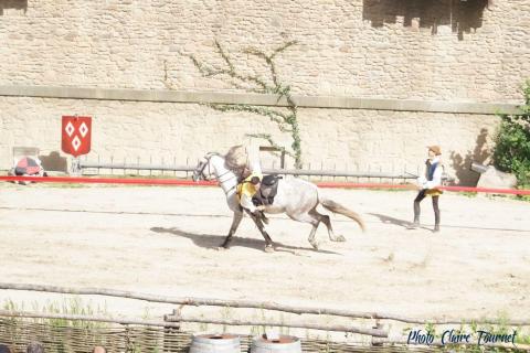 Puy du Fou c (524)