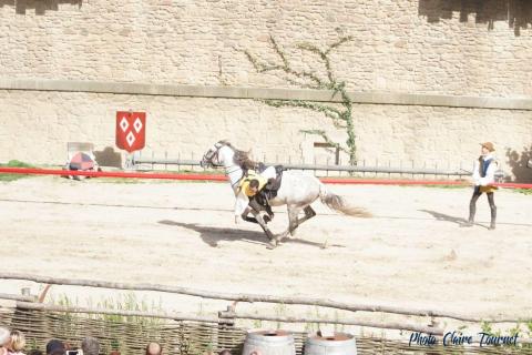 Puy du Fou c (525)