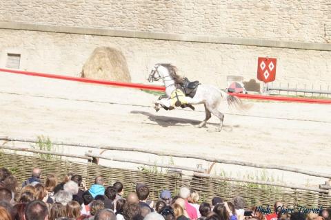 Puy du Fou c (528)