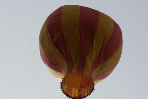 reconstitution c (53)