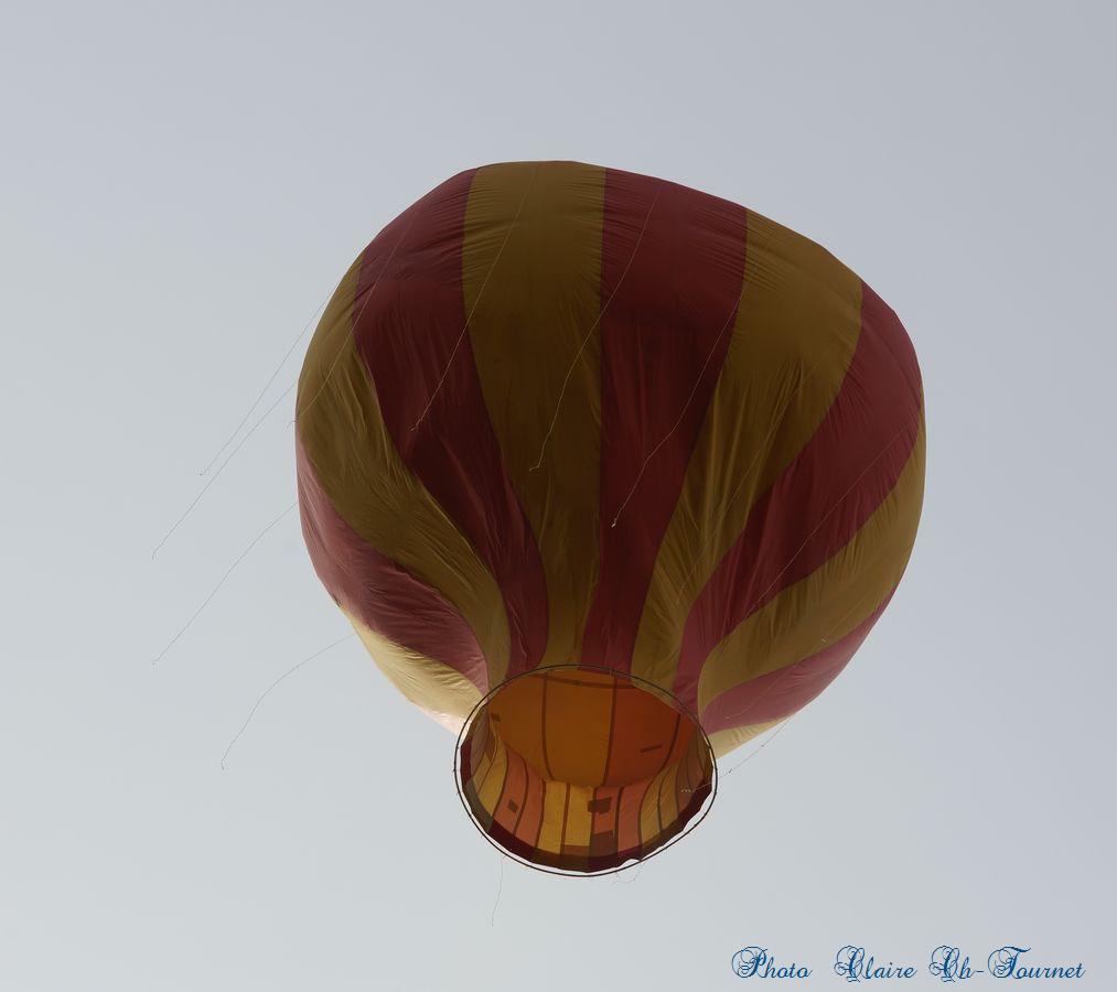 reconstitution c (53)