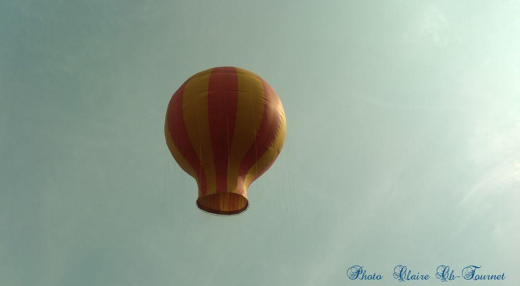 reconstitution c (54)
