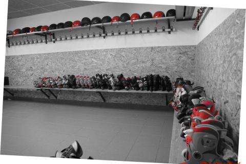Roller danse carnaval c (4)