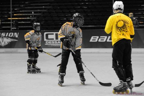 TNPoussins samedi c (1255)