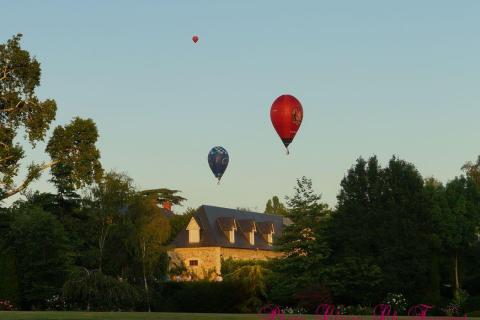 mardi soir au château, c (133)