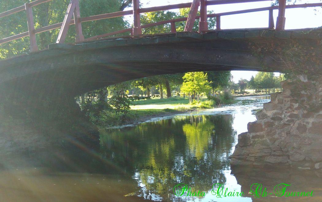mardi soir au château, c (195)
