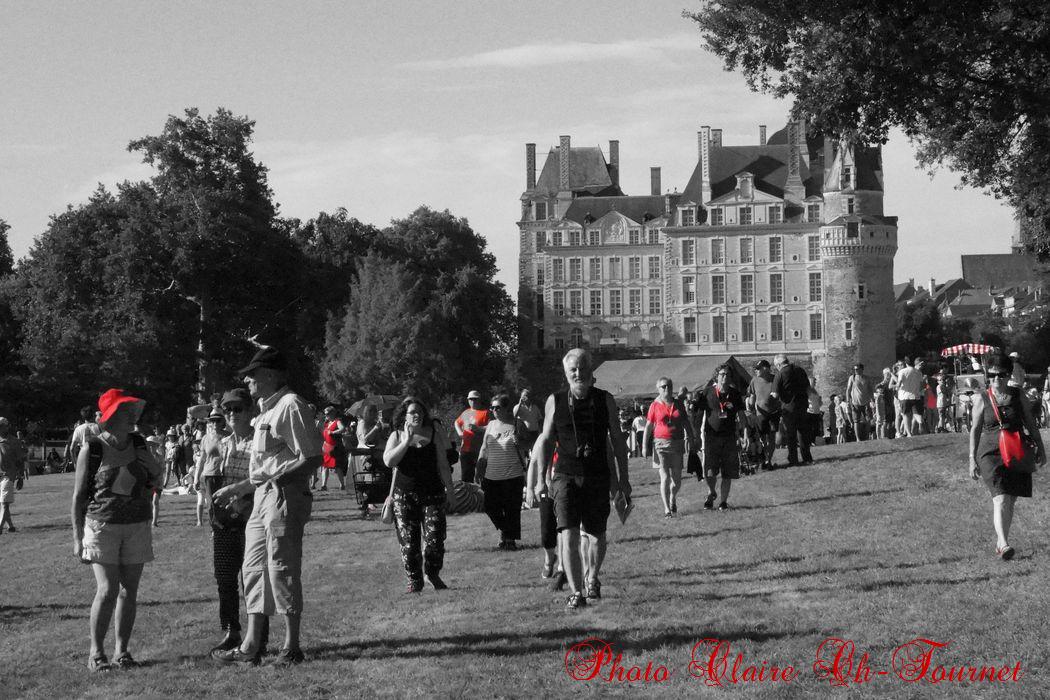 mardi soir au château, c (61)