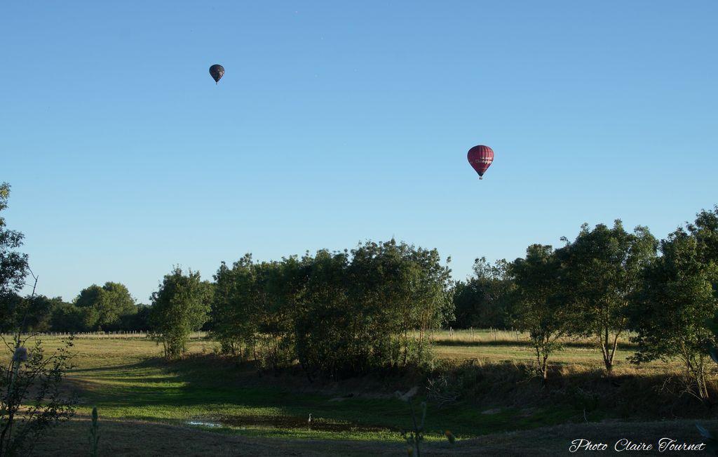 Vol-Champigny-Miguel-c-134