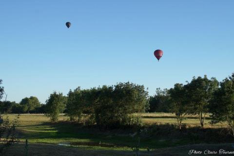 Vol-Champigny-Miguel-c-134