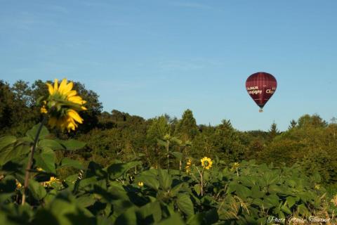 Vol-Champigny-Miguel-c-146