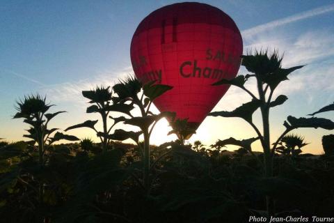Vol-Champigny-Miguel-c-153b