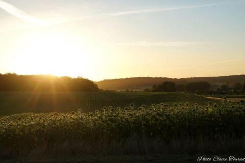 Vol-Champigny-Miguel-c-248