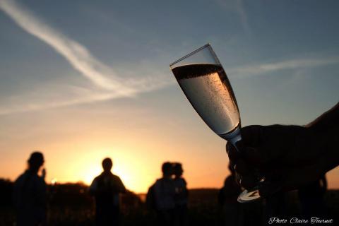 Vol-Champigny-Miguel-c-266