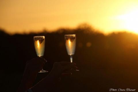 Vol-Champigny-Miguel-c-272