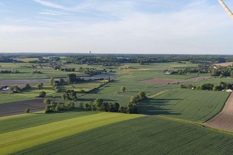V1-50
