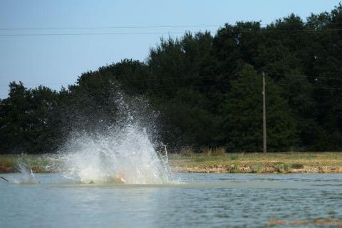 Wake park Claire c  (141)