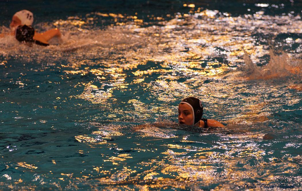 WP ProA Angers vs Nancy Cl c (233)