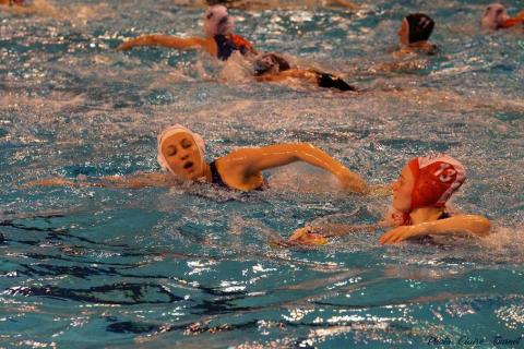 WP ProA Angers vs Nancy Cl c (106)