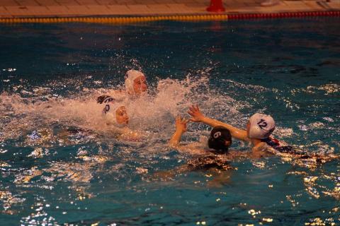 WP ProA Angers vs Nancy Cl c (198)